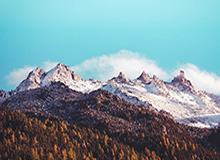 99图库-理性提醒-立即回看-专题页(适合复盘)，9918的图片