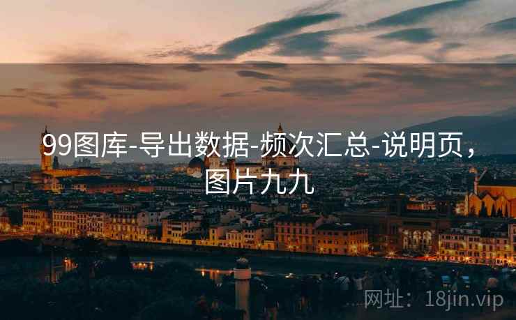 99图库-导出数据-频次汇总-说明页，图片九九